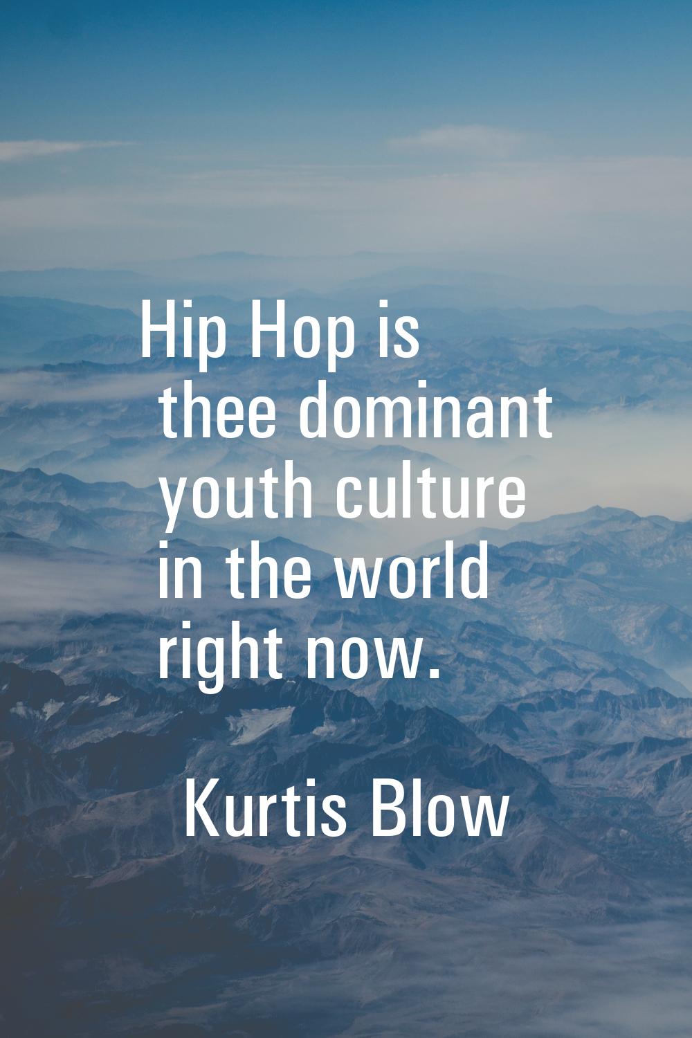 Hip Hop is thee dominant youth culture in the world right now.