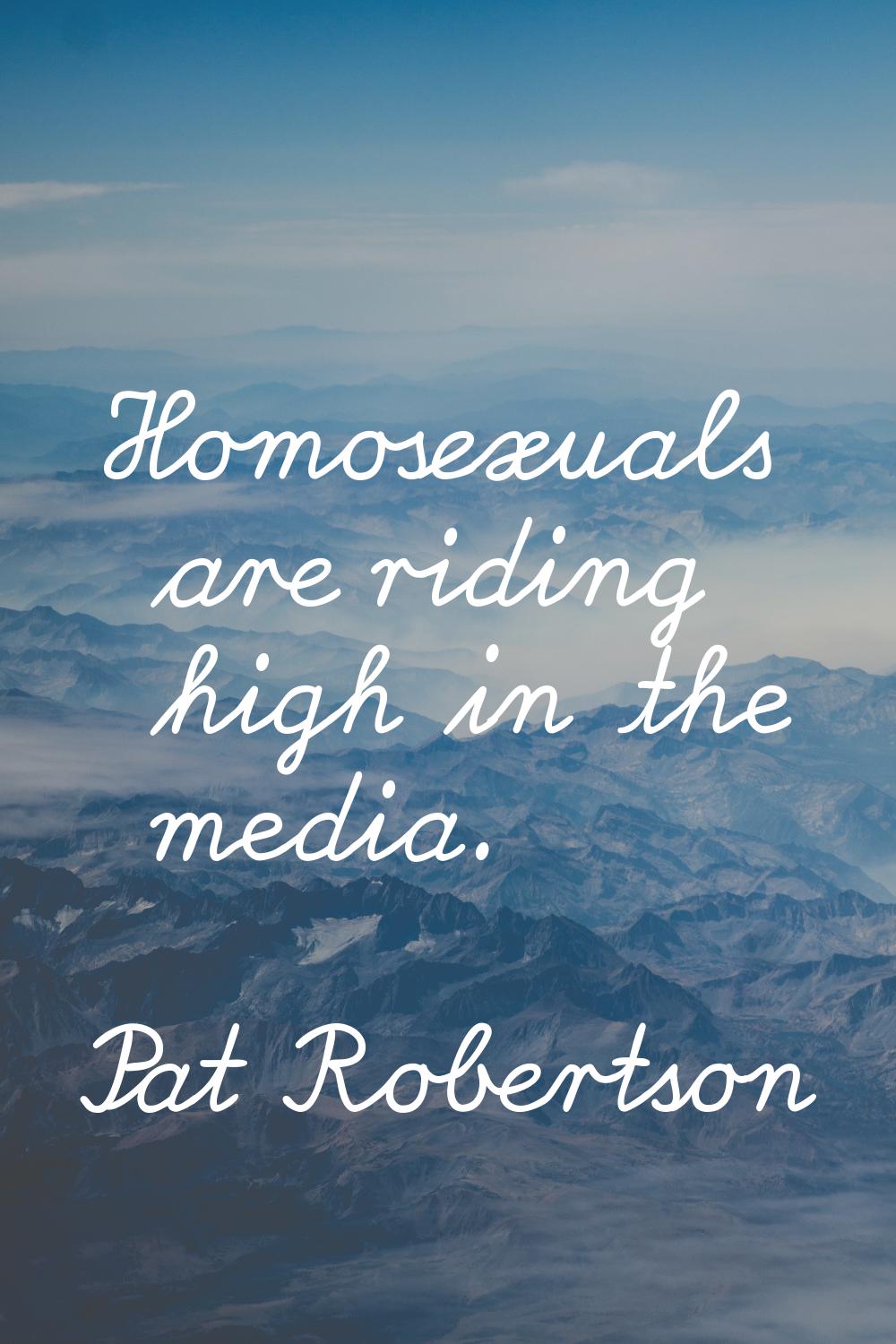 Homosexuals are riding high in the media.