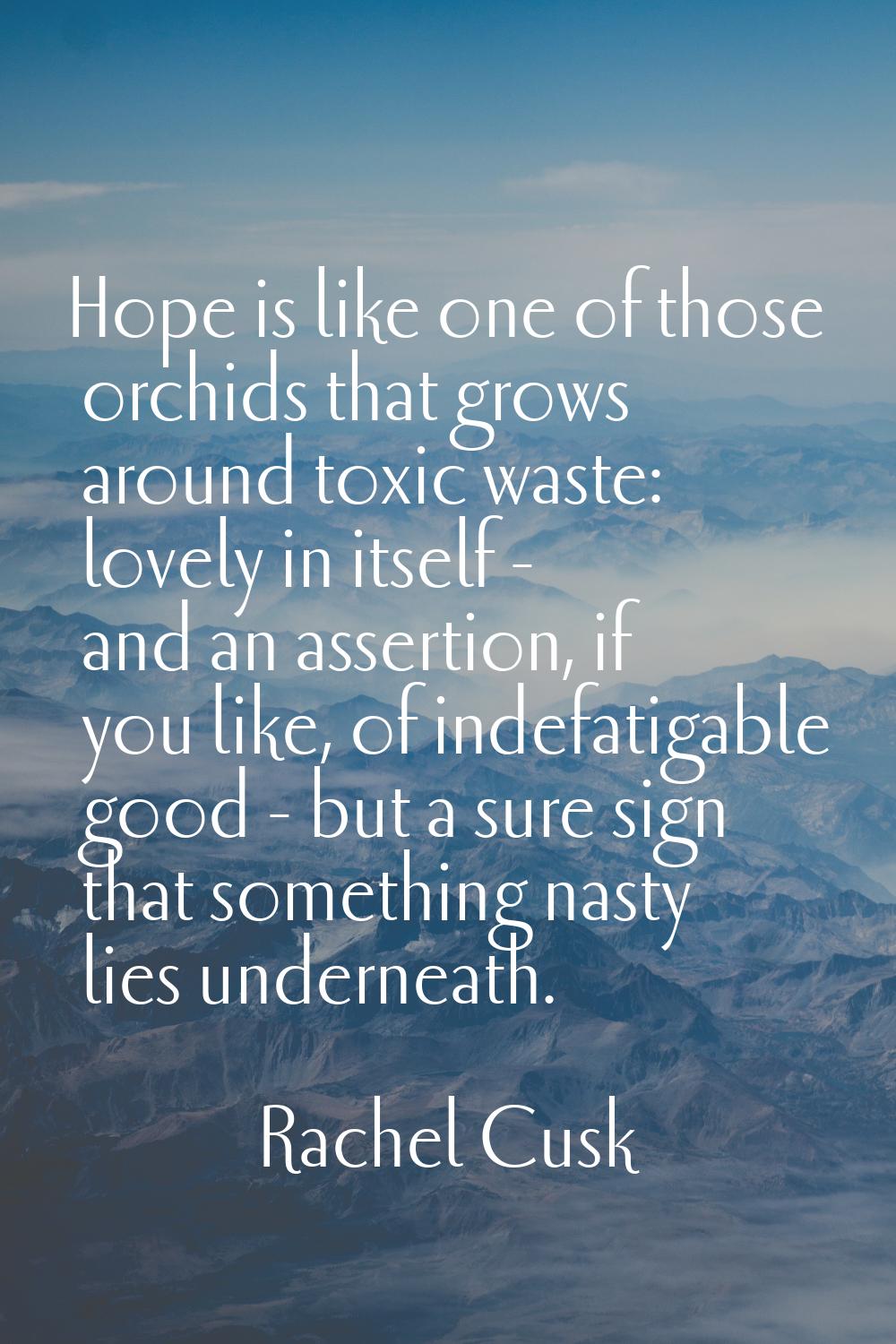 Hope is like one of those orchids that grows around toxic waste: lovely in itself - and an assertio