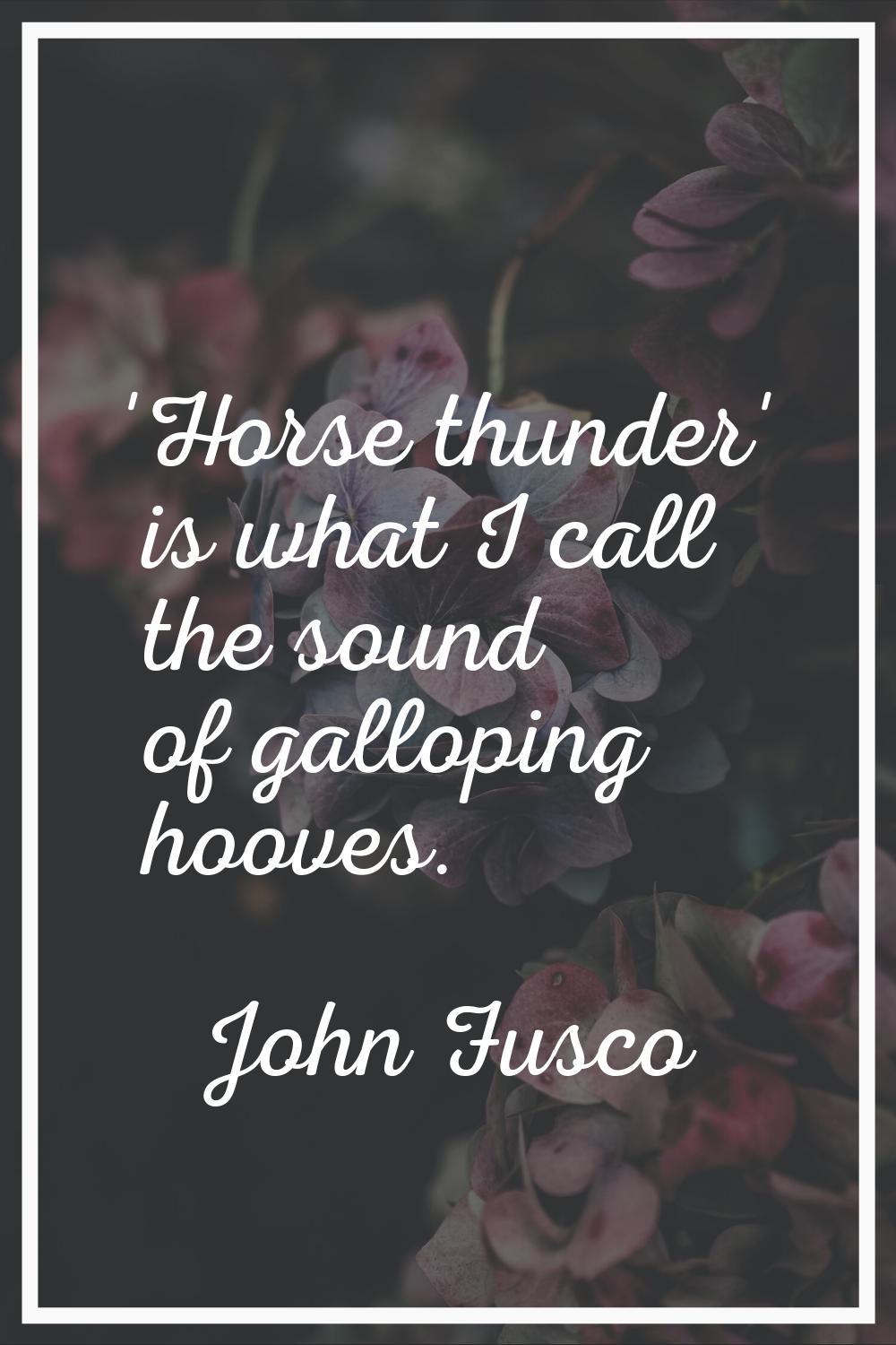 'Horse thunder' is what I call the sound of galloping hooves.