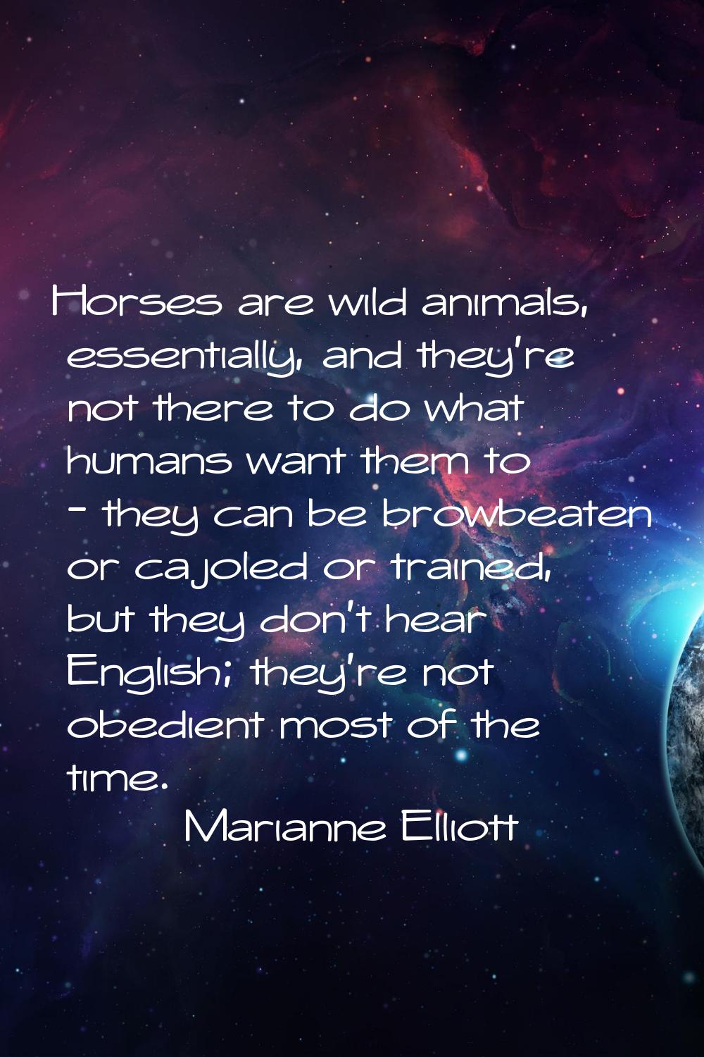 Horses are wild animals, essentially, and they're not there to do what humans want them to - they c