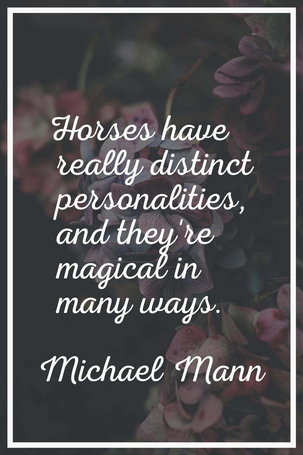 Horses have really distinct personalities, and they're magical in many ways.