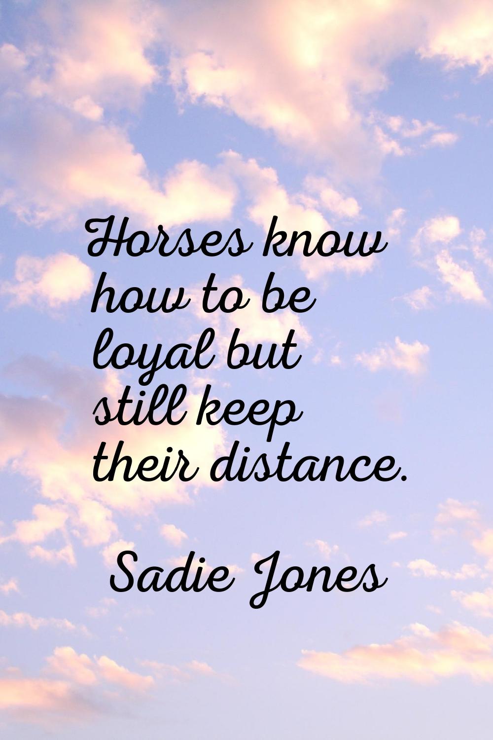 Horses know how to be loyal but still keep their distance.