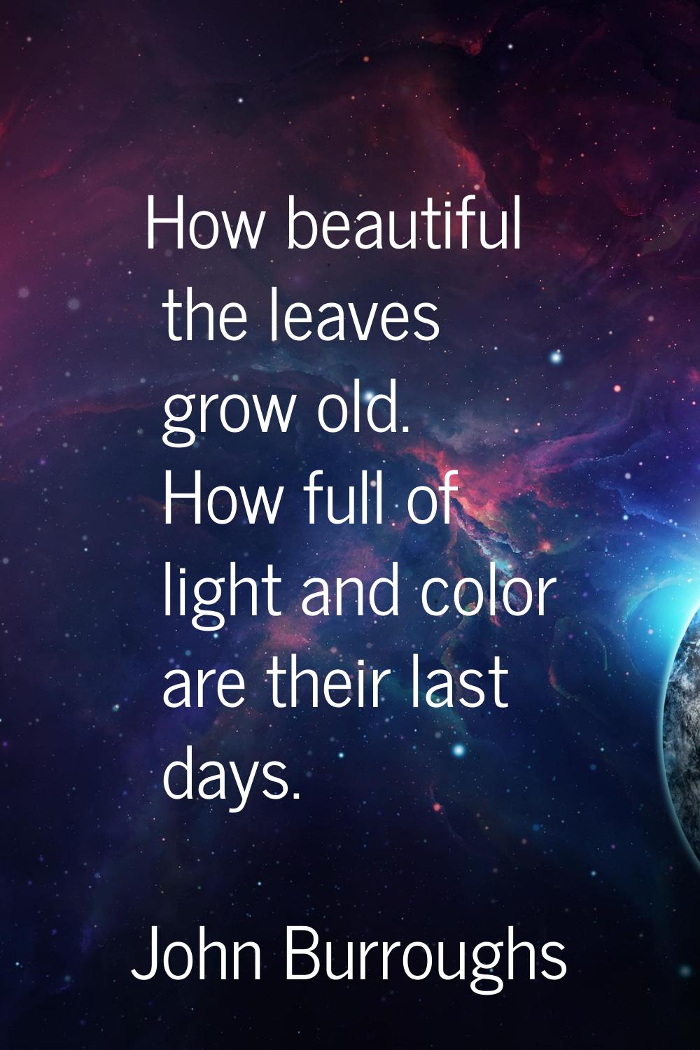 How beautiful the leaves grow old. How full of light and color are their last days.