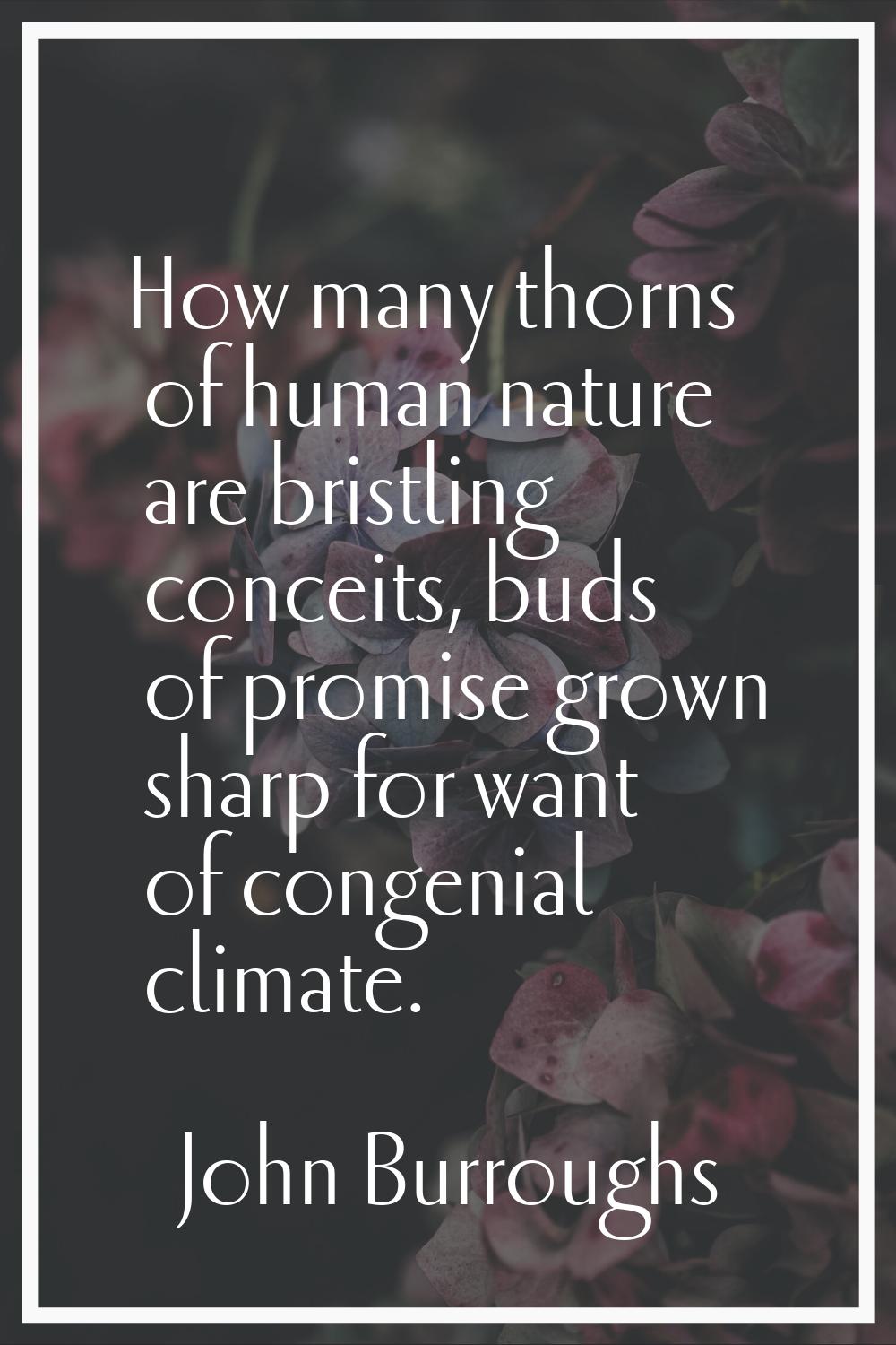 How many thorns of human nature are bristling conceits, buds of promise grown sharp for want of con