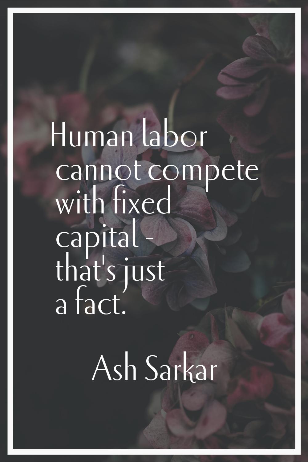 Human labor cannot compete with fixed capital - that's just a fact.