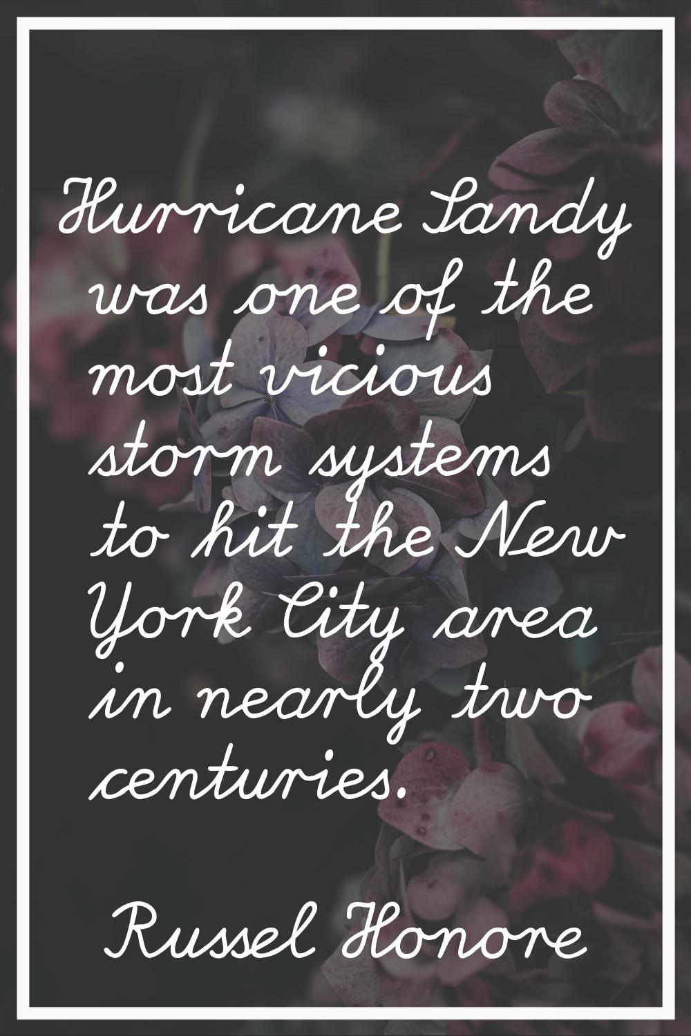 Hurricane Sandy was one of the most vicious storm systems to hit the New York City area in nearly t