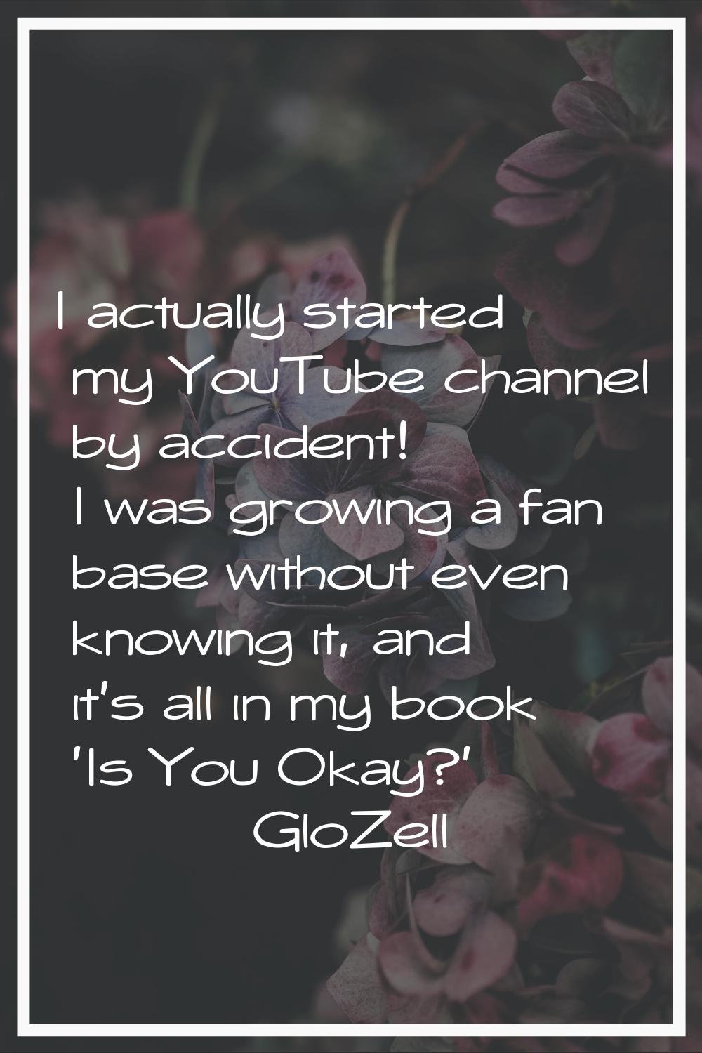 I actually started my YouTube channel by accident! I was growing a fan base without even knowing it