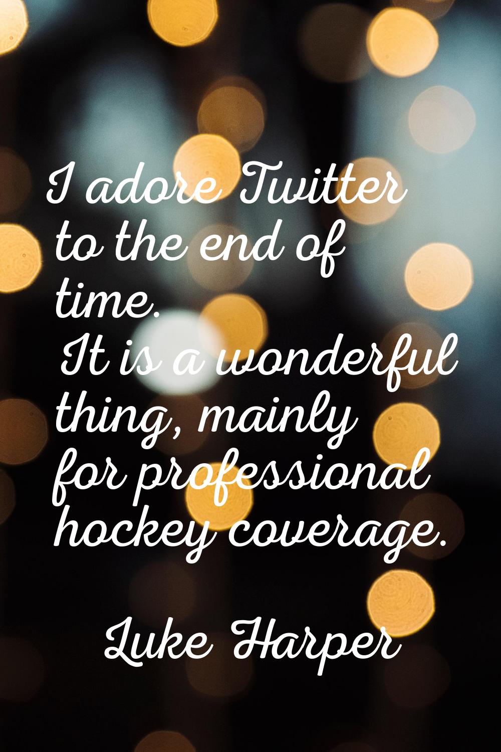 I adore Twitter to the end of time. It is a wonderful thing, mainly for professional hockey coverag