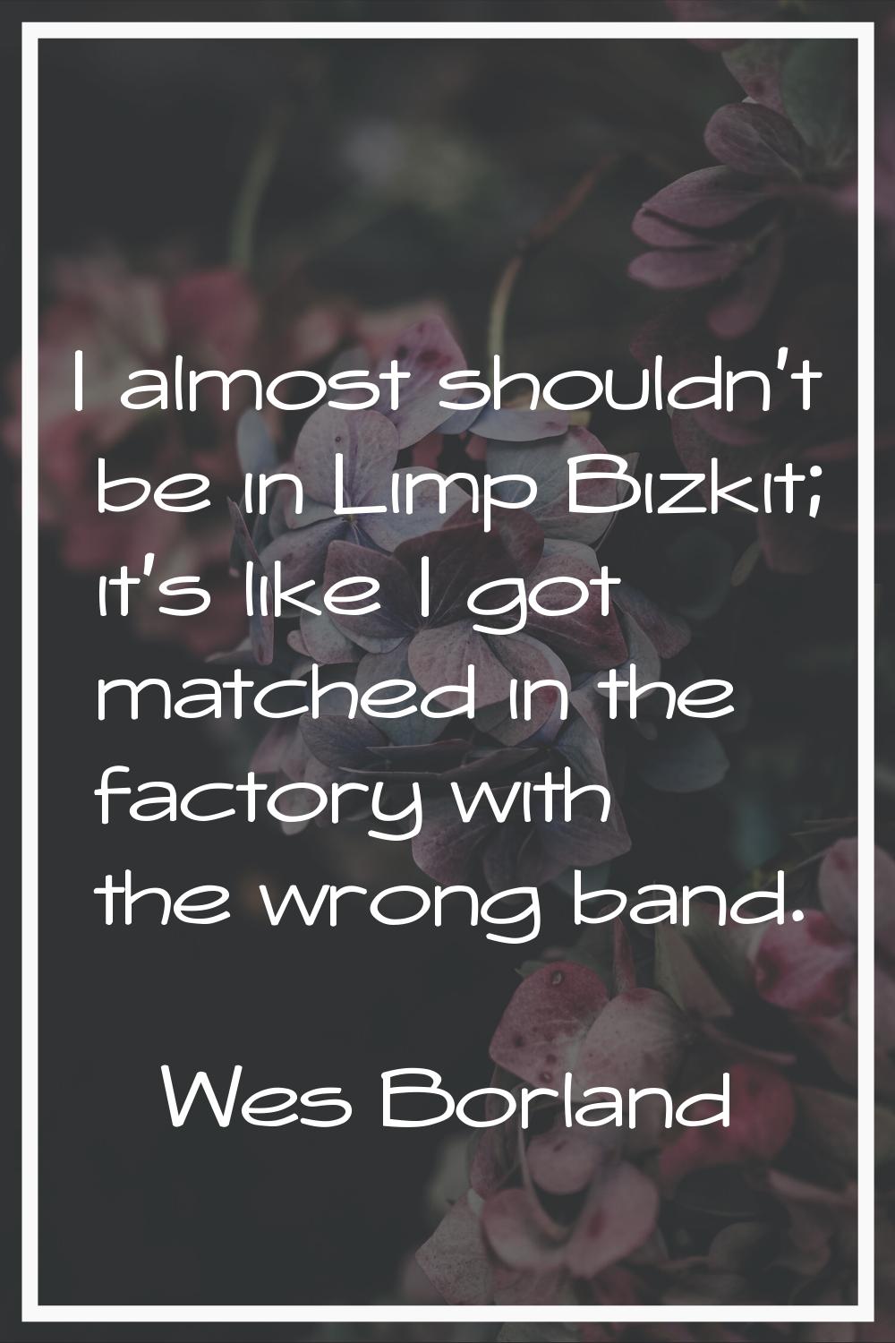 I almost shouldn't be in Limp Bizkit; it's like I got matched in the factory with the wrong band.