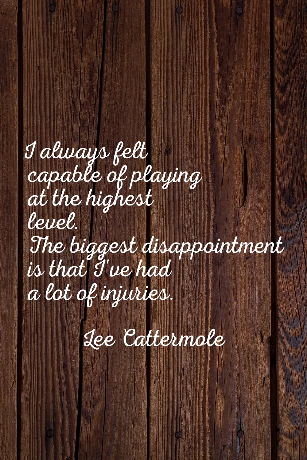 I always felt capable of playing at the highest level. The biggest disappointment is that I've had 