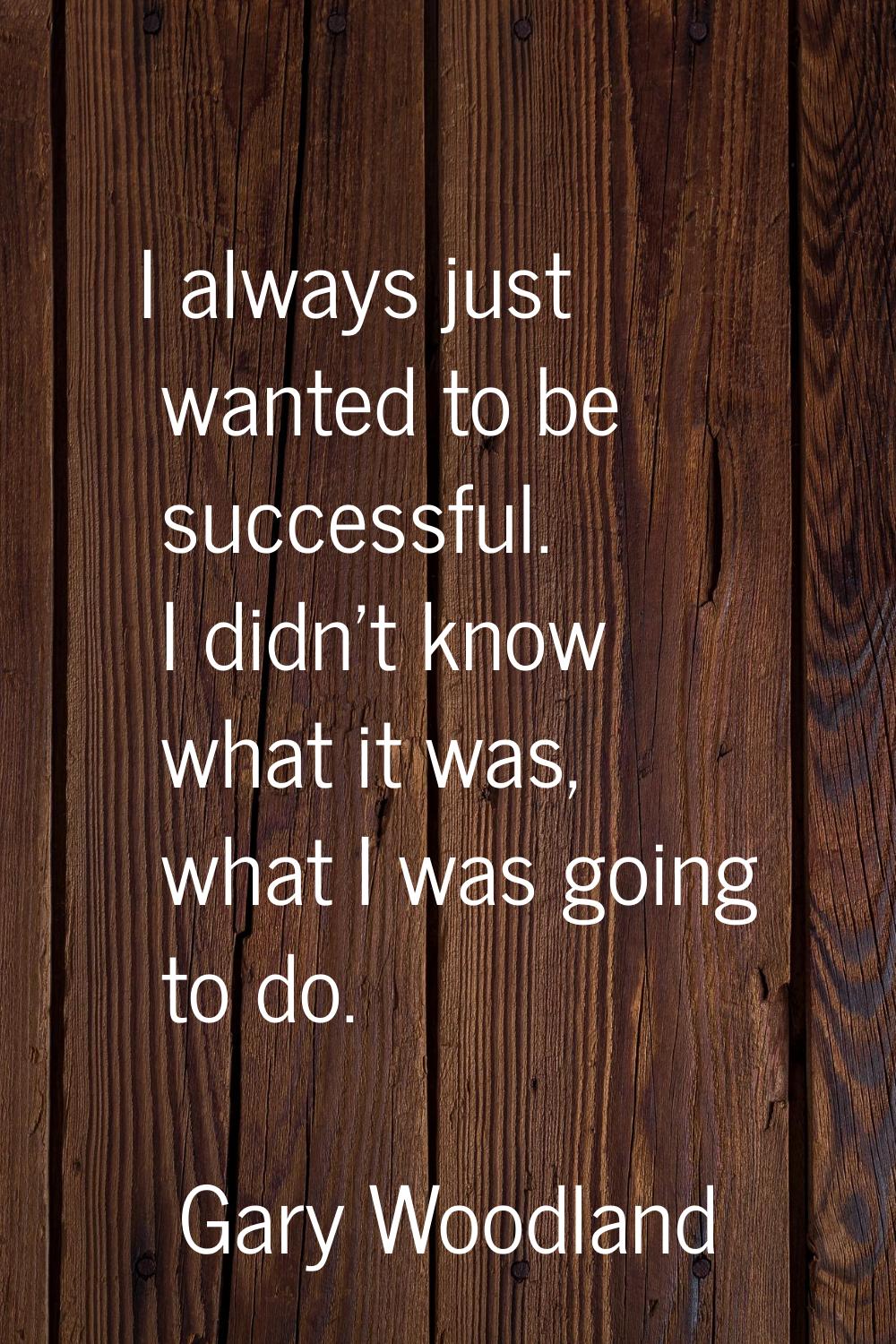 I always just wanted to be successful. I didn't know what it was, what I was going to do.