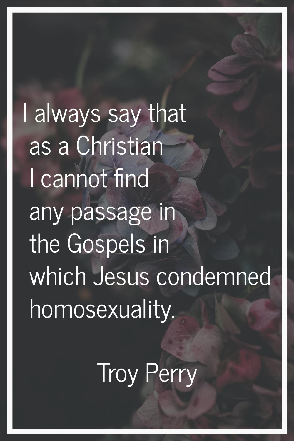 I always say that as a Christian I cannot find any passage in the Gospels in which Jesus condemned 