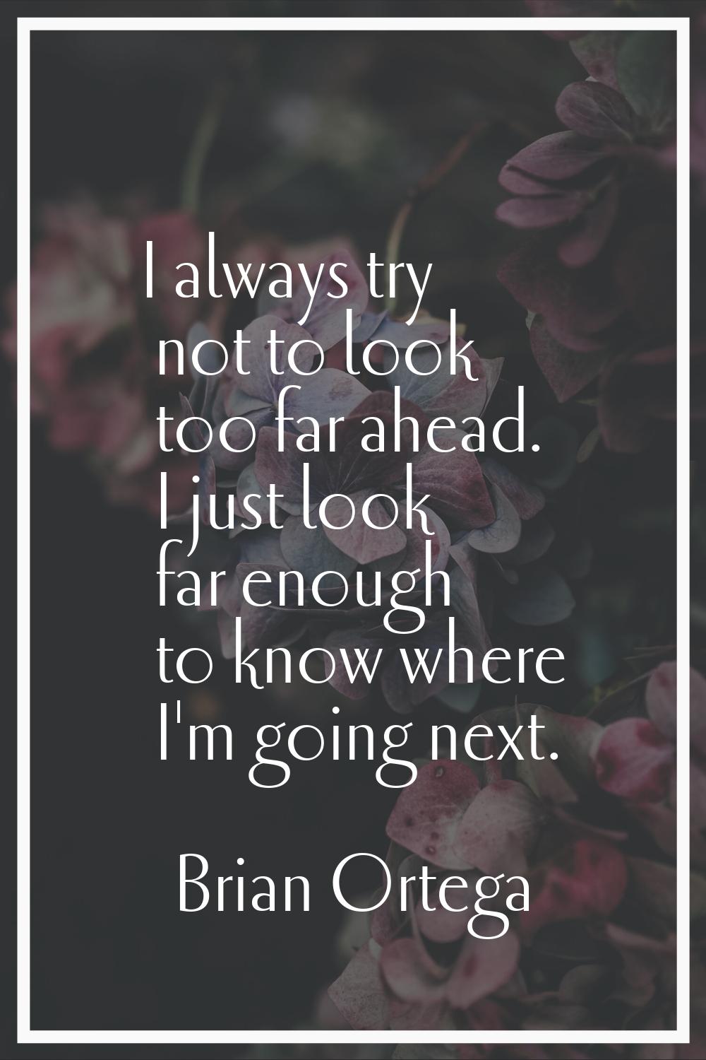 I always try not to look too far ahead. I just look far enough to know where I'm going next.