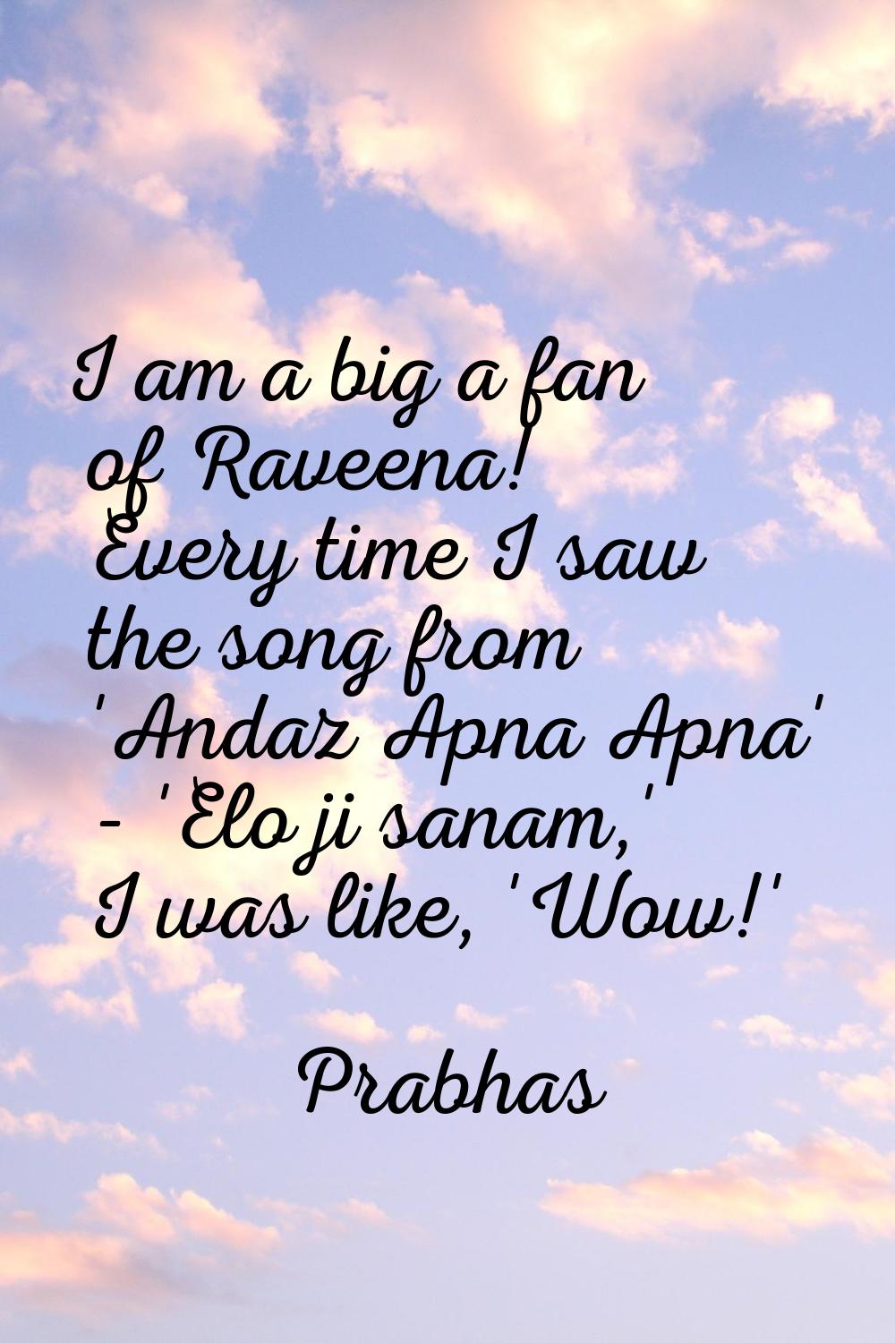 I am a big a fan of Raveena! Every time I saw the song from 'Andaz Apna Apna' - 'Elo ji sanam,' I w