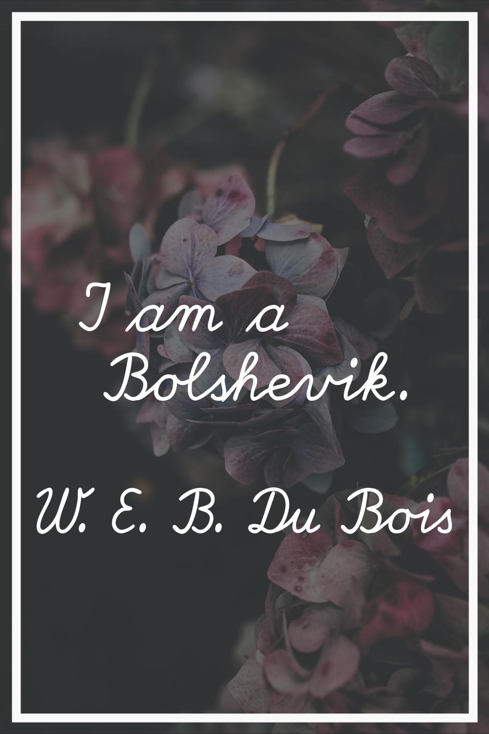 I am a Bolshevik.