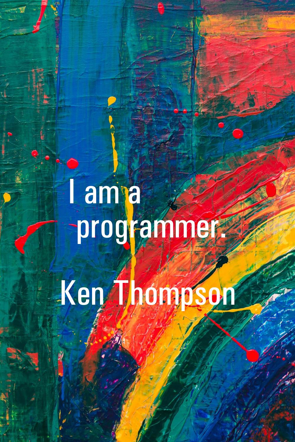 I am a programmer.