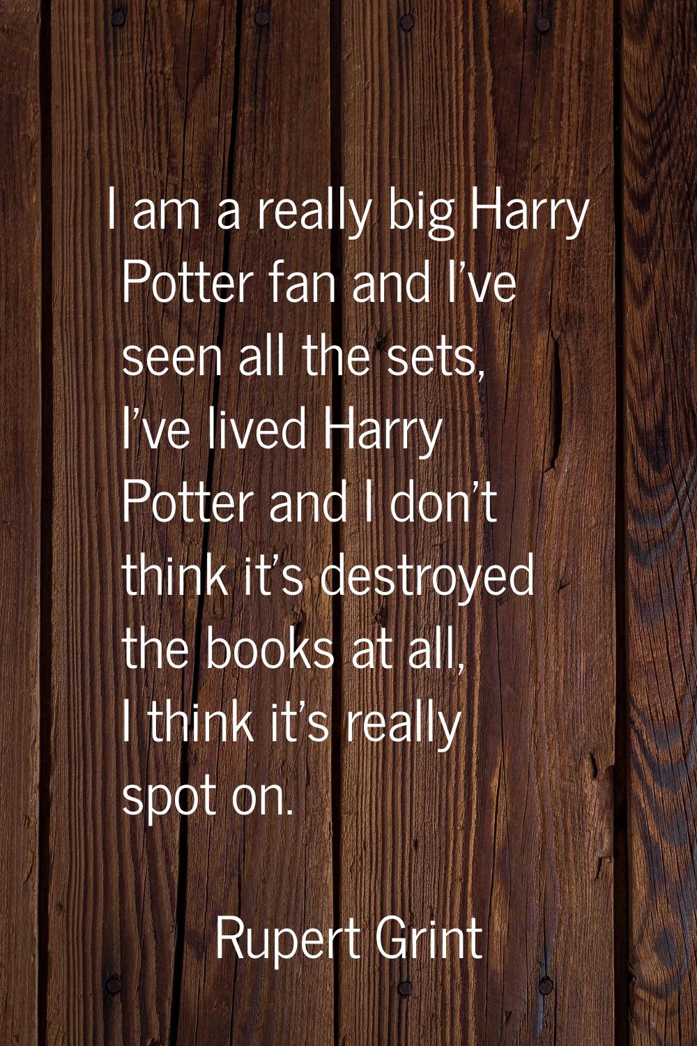 I am a really big Harry Potter fan and I've seen all the sets, I've lived Harry Potter and I don't 