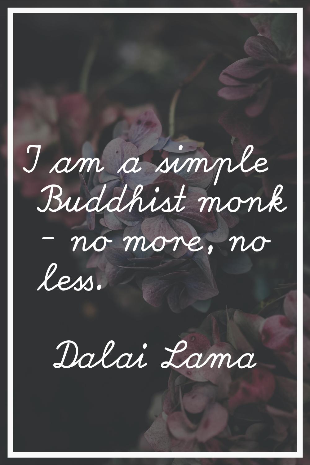 I am a simple Buddhist monk - no more, no less.