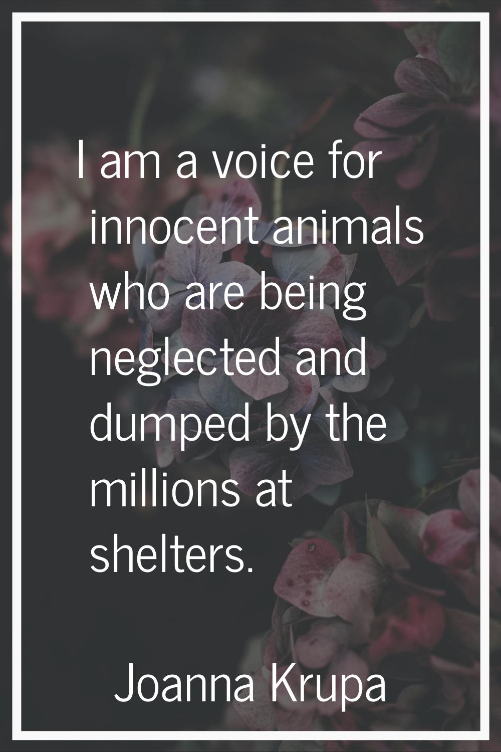 I am a voice for innocent animals who are being neglected and dumped by the millions at shelters.
