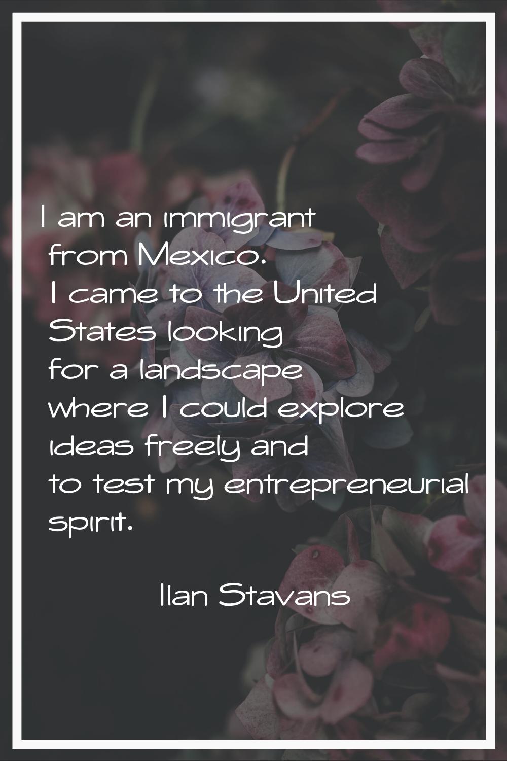 I am an immigrant from Mexico. I came to the United States looking for a landscape where I could ex