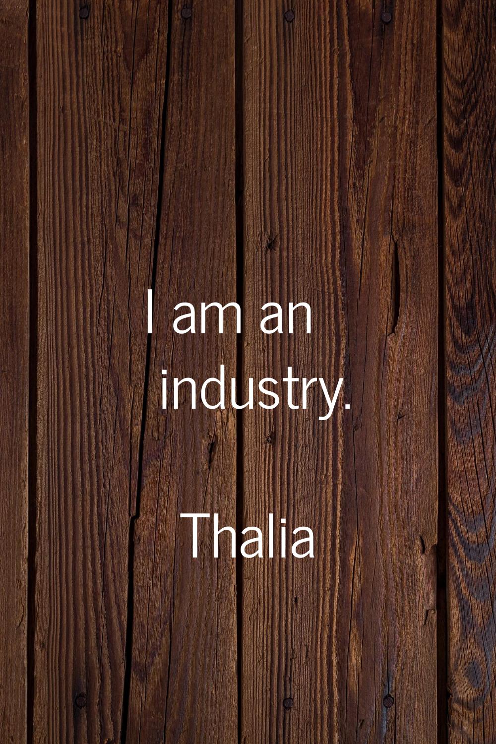 I am an industry.