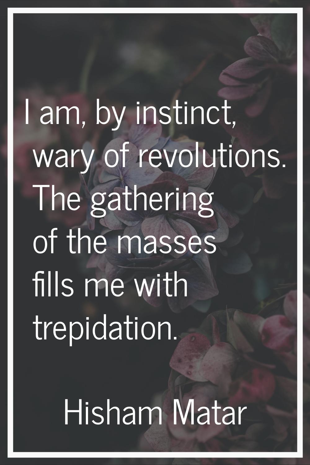 I am, by instinct, wary of revolutions. The gathering of the masses fills me with trepidation.
