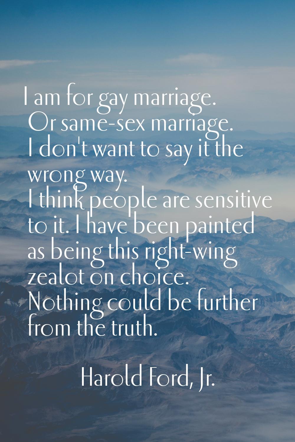 I am for gay marriage. Or same-sex marriage. I don't want to say it the wrong way. I think people a