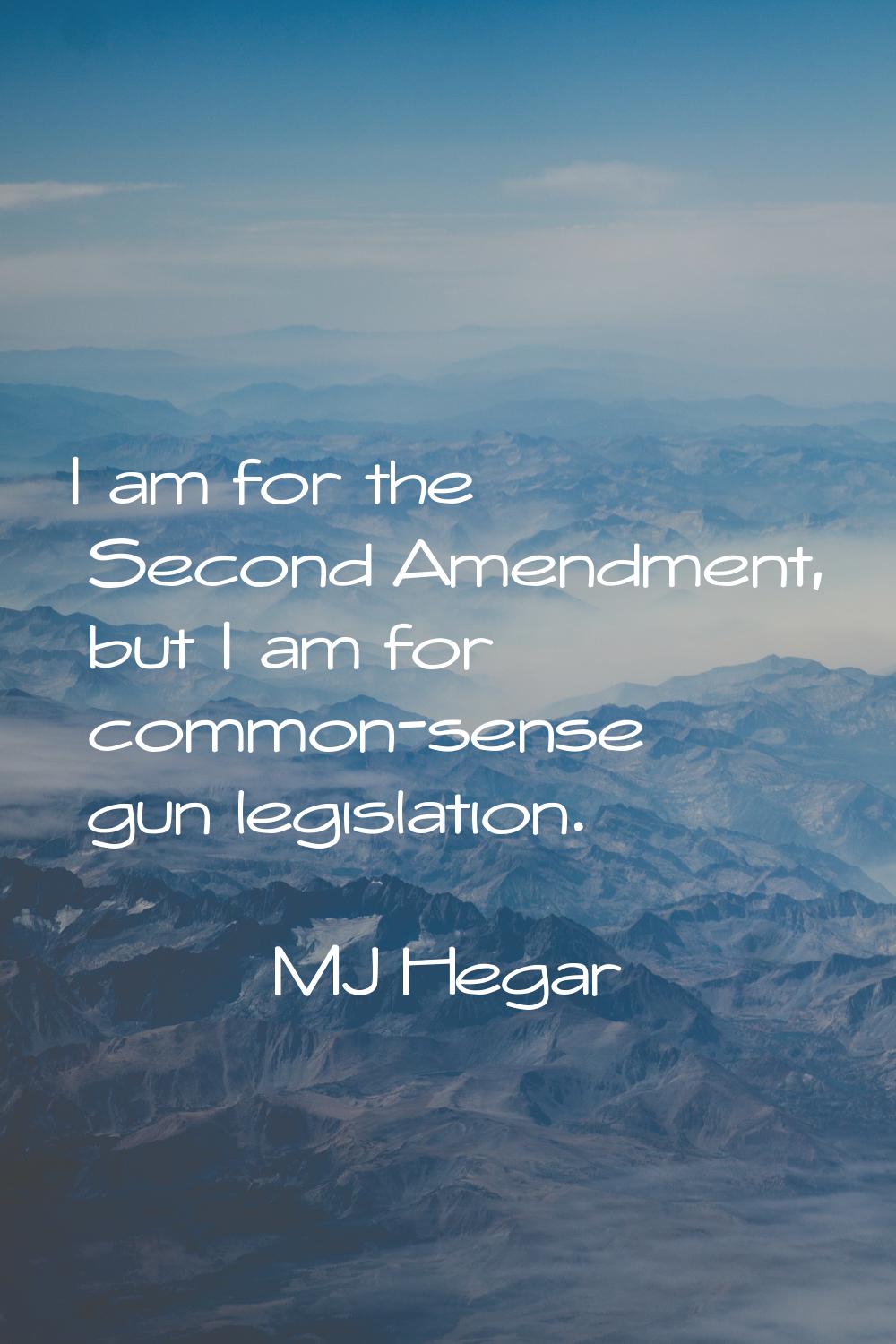 I am for the Second Amendment, but I am for common-sense gun legislation.