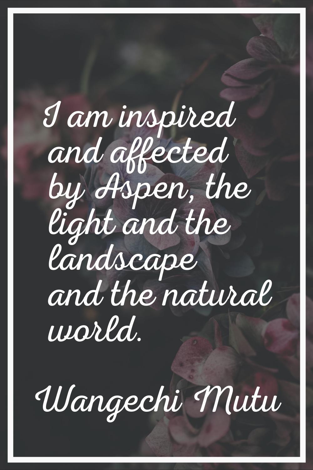 I am inspired and affected by Aspen, the light and the landscape and the natural world.