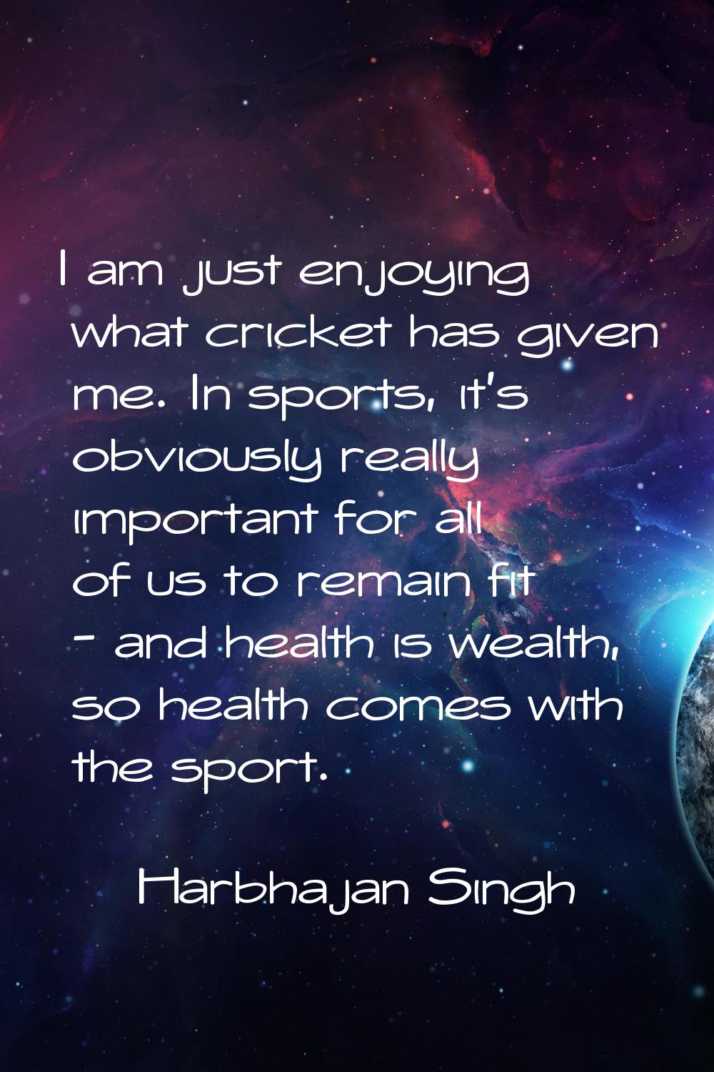I am just enjoying what cricket has given me. In sports, it's obviously really important for all of