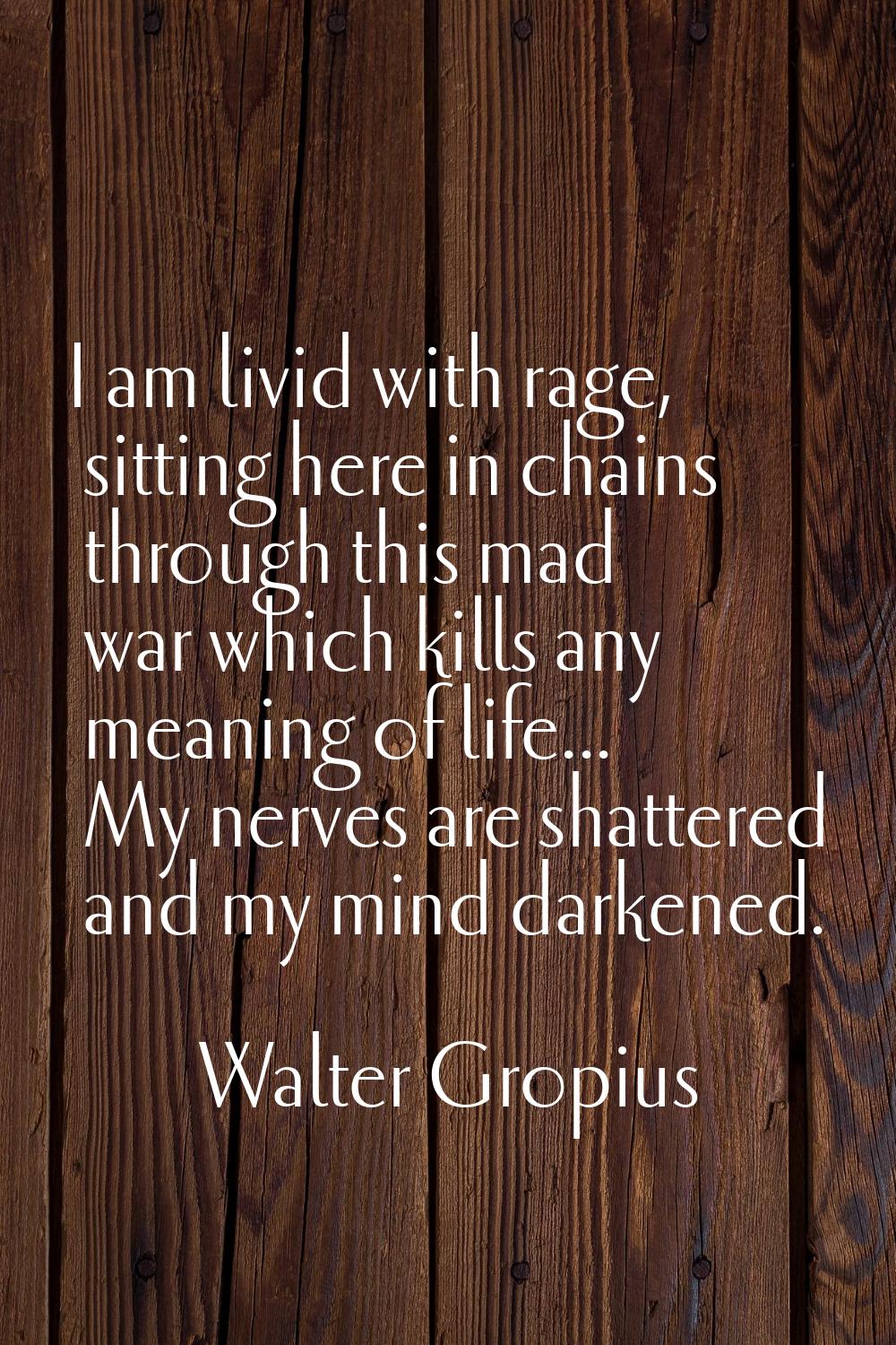 I am livid with rage, sitting here in chains through this mad war which kills any meaning of life..