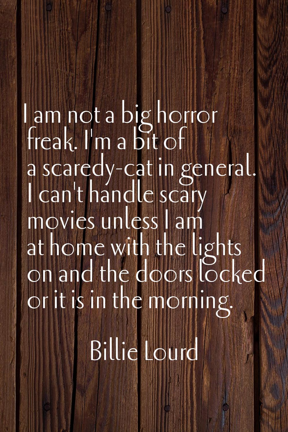 I am not a big horror freak. I'm a bit of a scaredy-cat in general. I can't handle scary movies unl