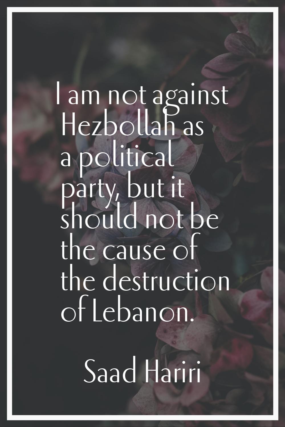 I am not against Hezbollah as a political party, but it should not be the cause of the destruction 