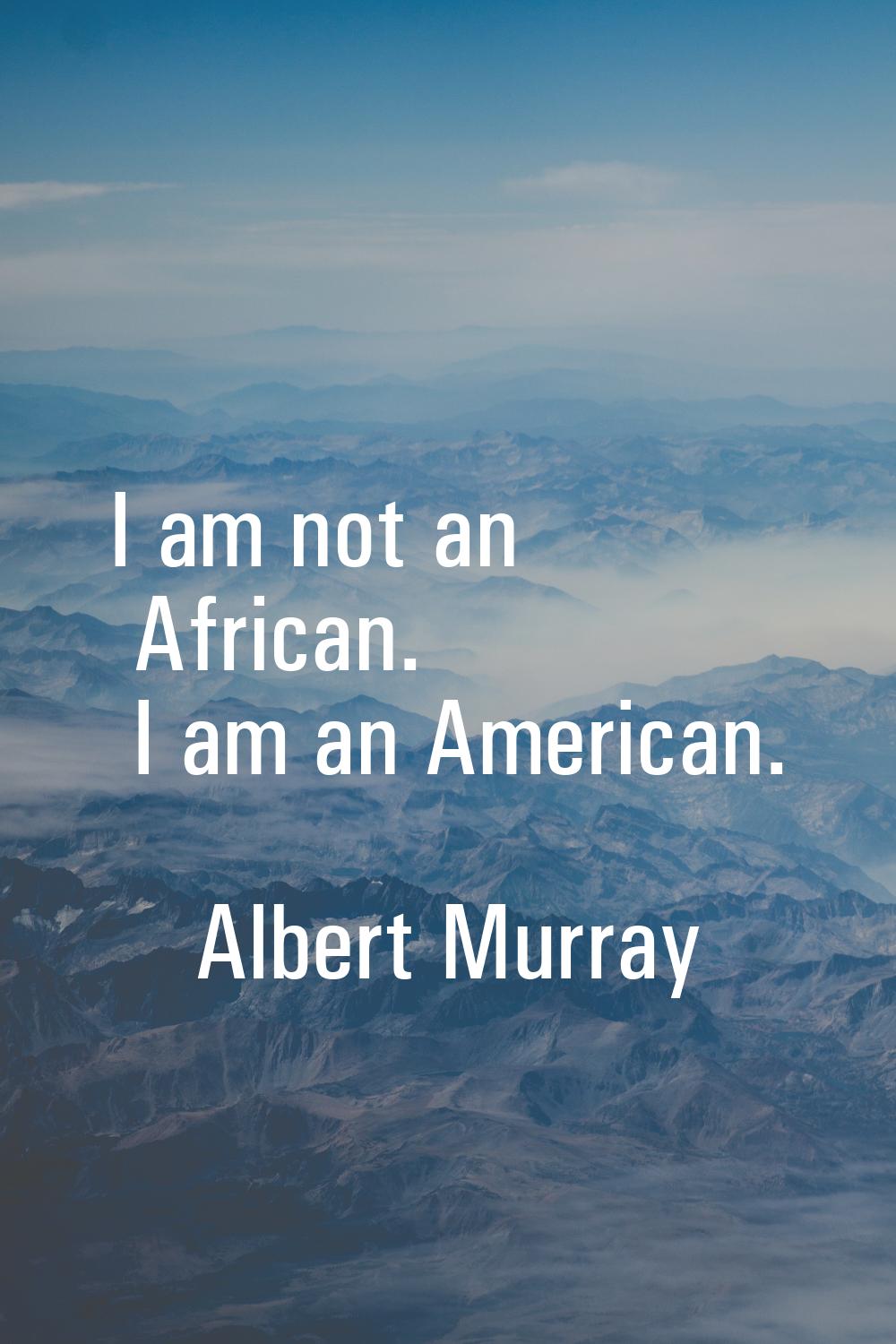 I am not an African. I am an American.