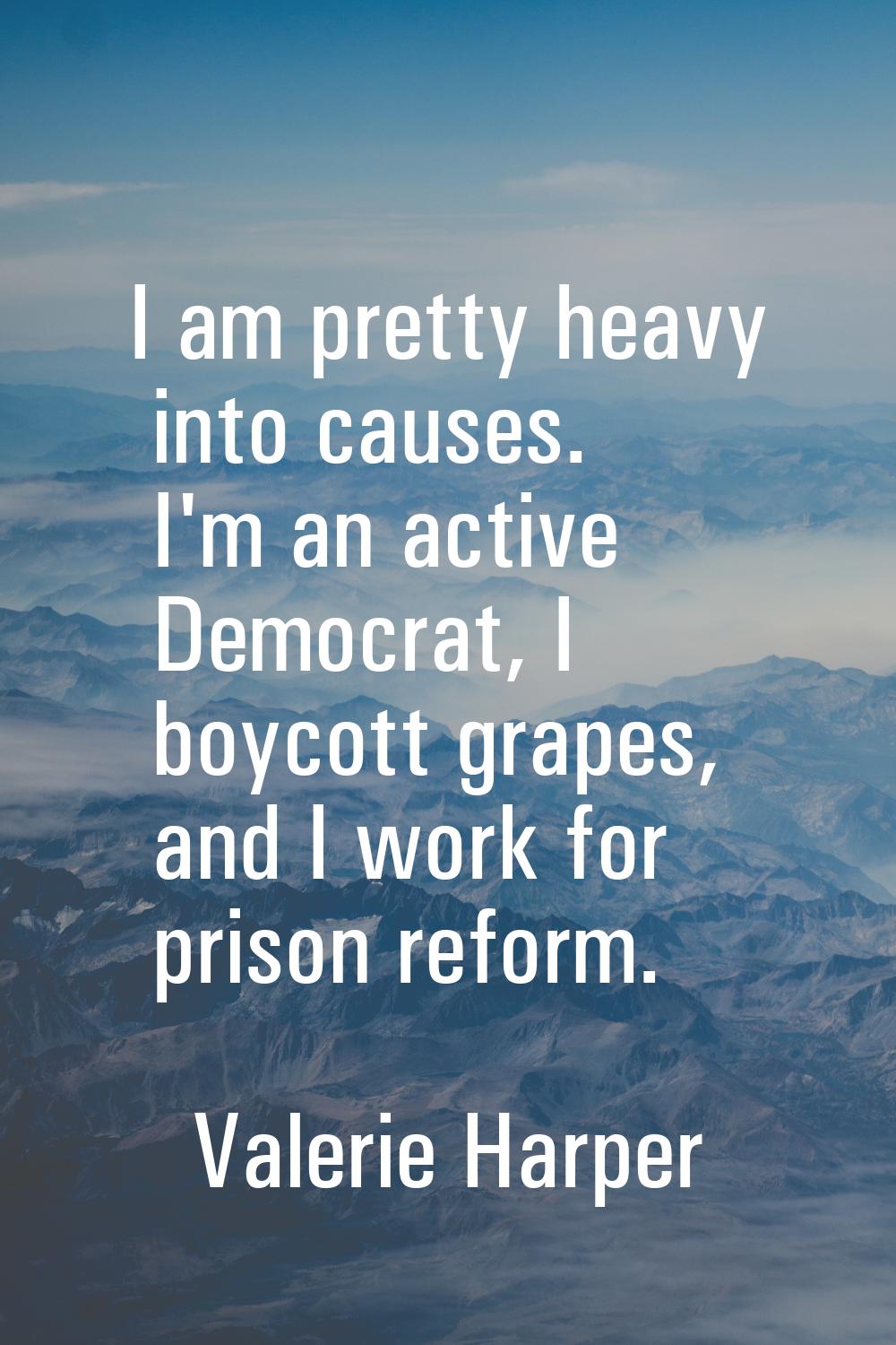 I am pretty heavy into causes. I'm an active Democrat, I boycott grapes, and I work for prison refo