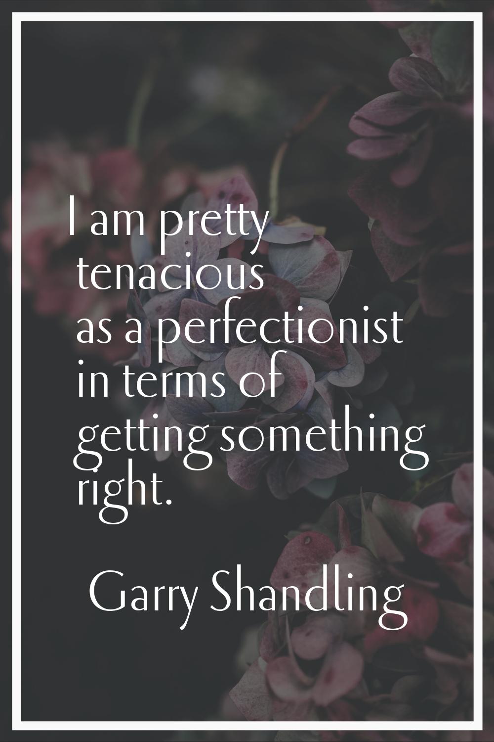 I am pretty tenacious as a perfectionist in terms of getting something right.