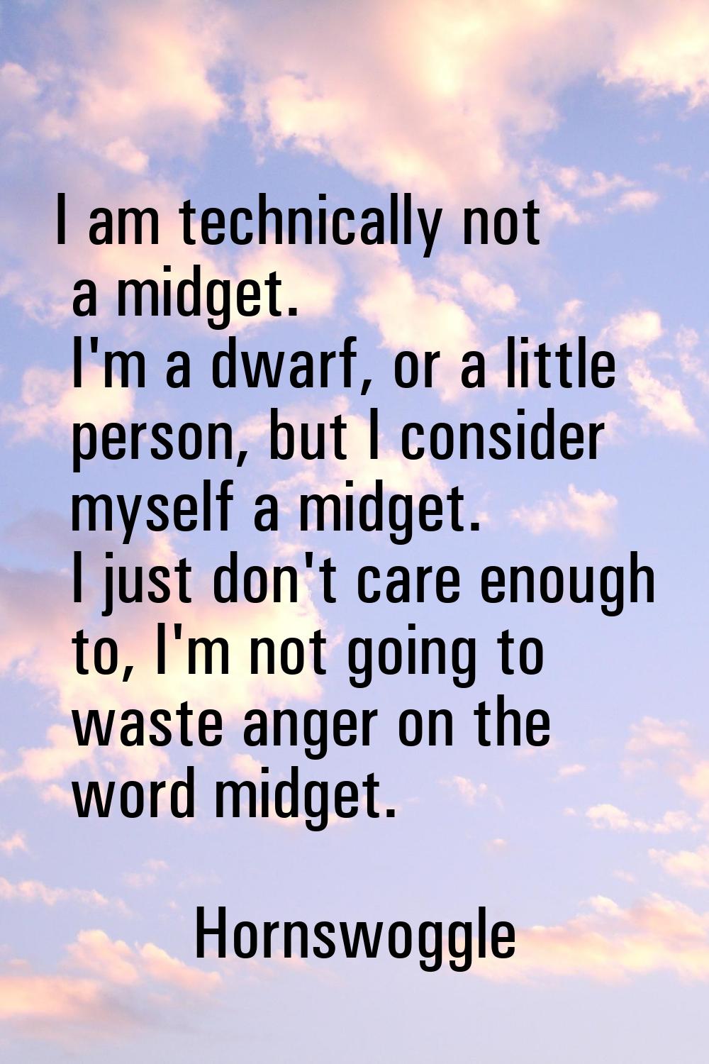 I am technically not a midget. I'm a dwarf, or a little person, but I consider myself a midget. I j