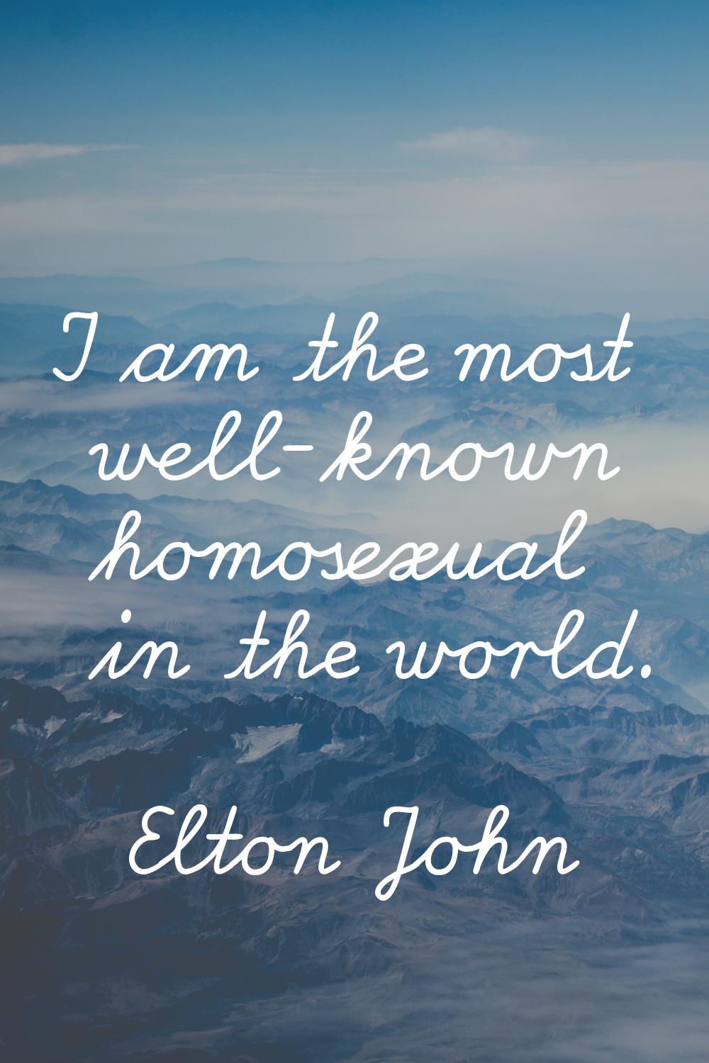 I am the most well-known homosexual in the world.