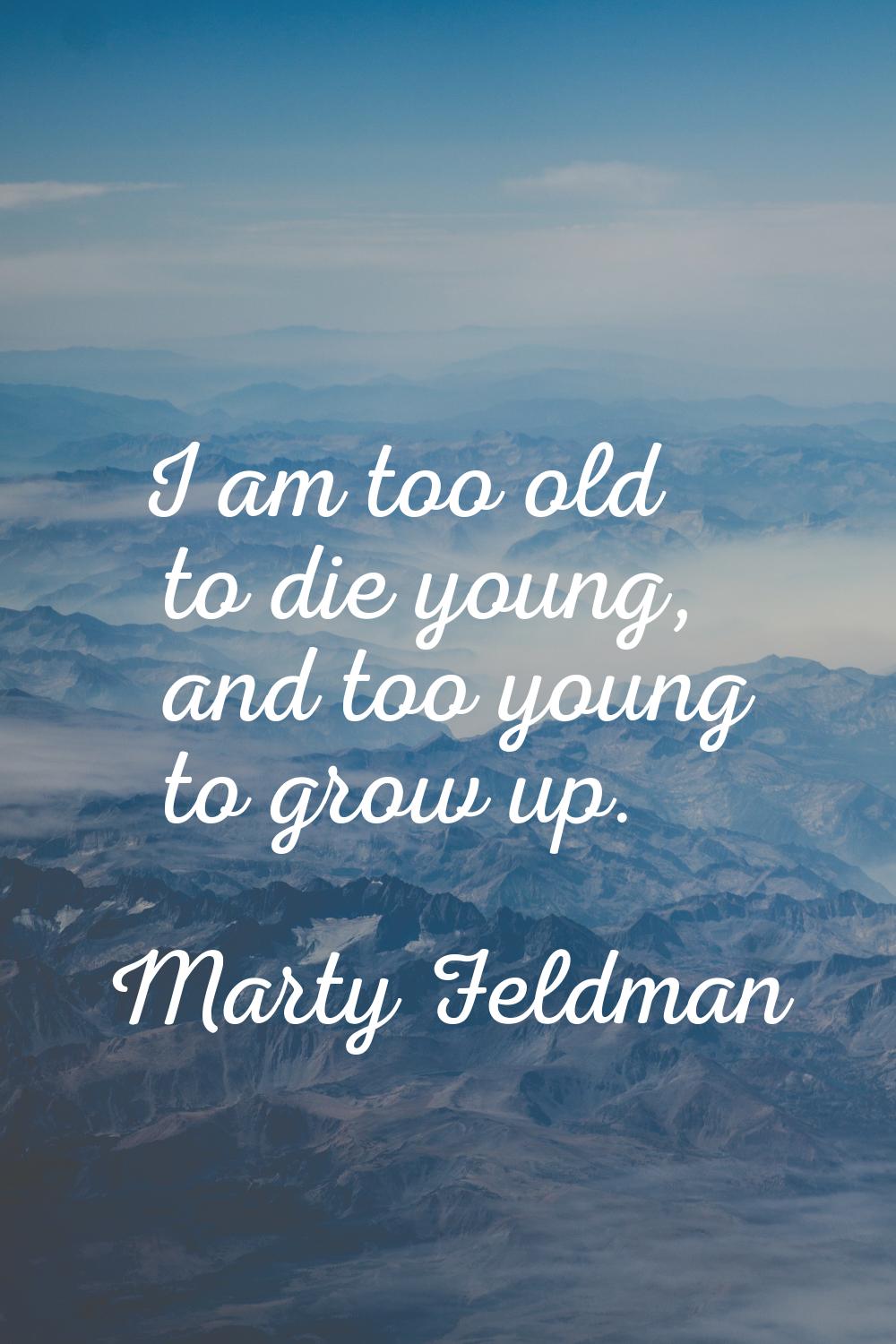 I am too old to die young, and too young to grow up.