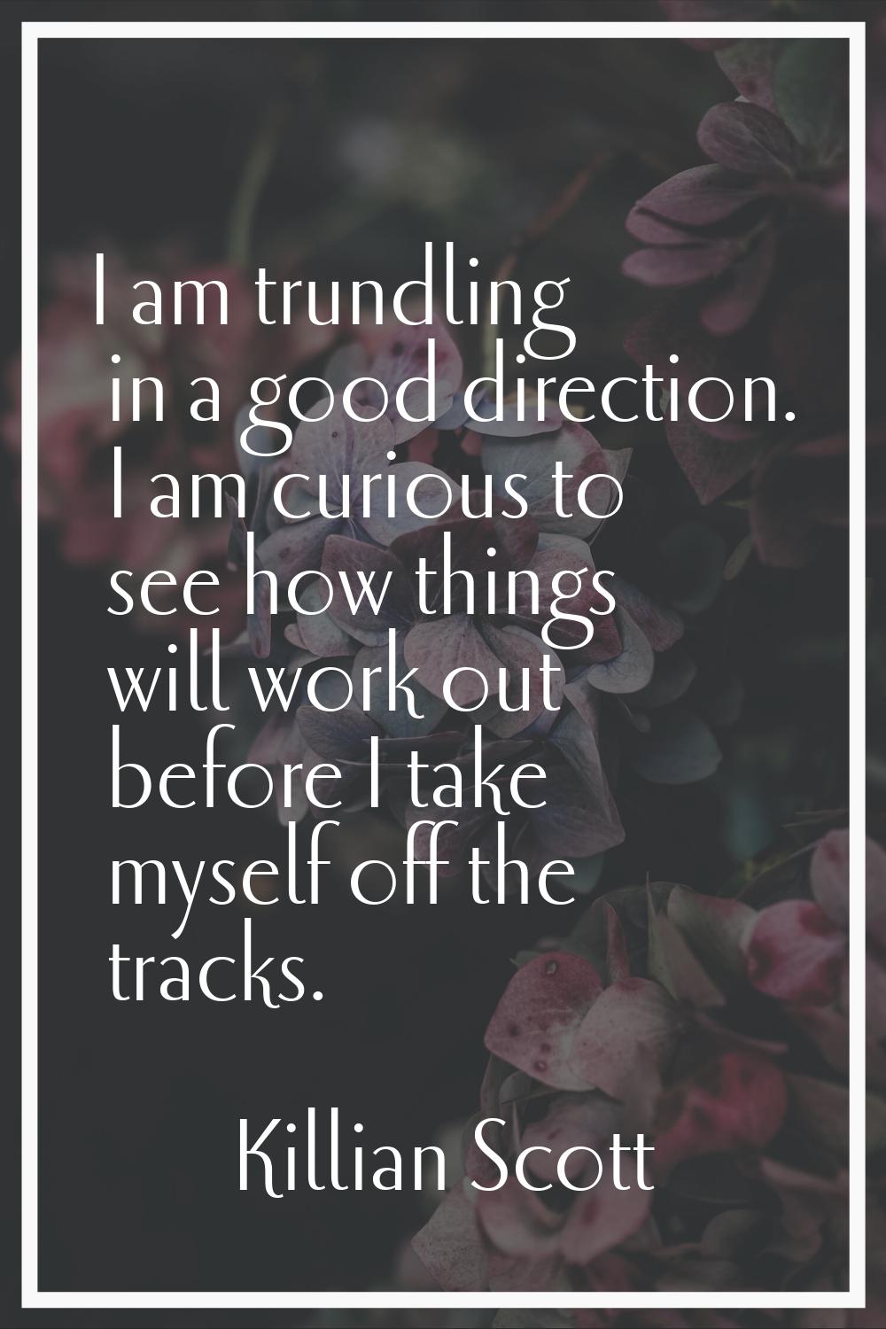 I am trundling in a good direction. I am curious to see how things will work out before I take myse