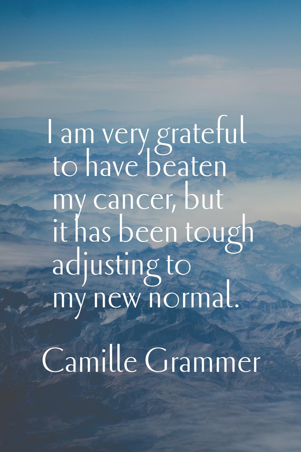 I am very grateful to have beaten my cancer, but it has been tough adjusting to my new normal.