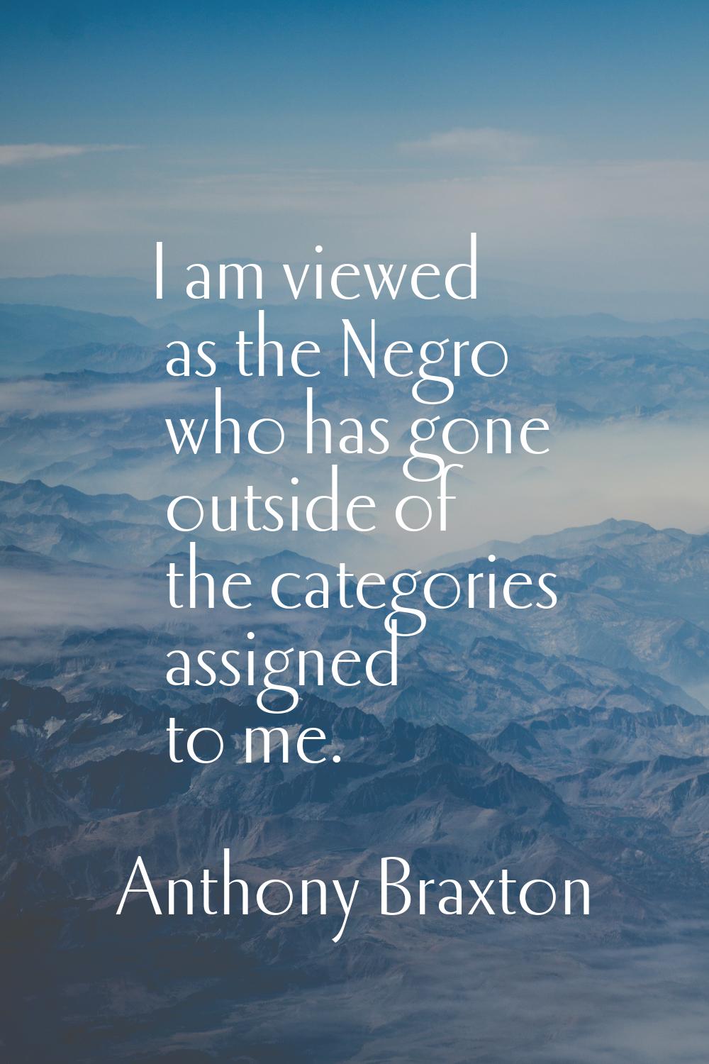 I am viewed as the Negro who has gone outside of the categories assigned to me.