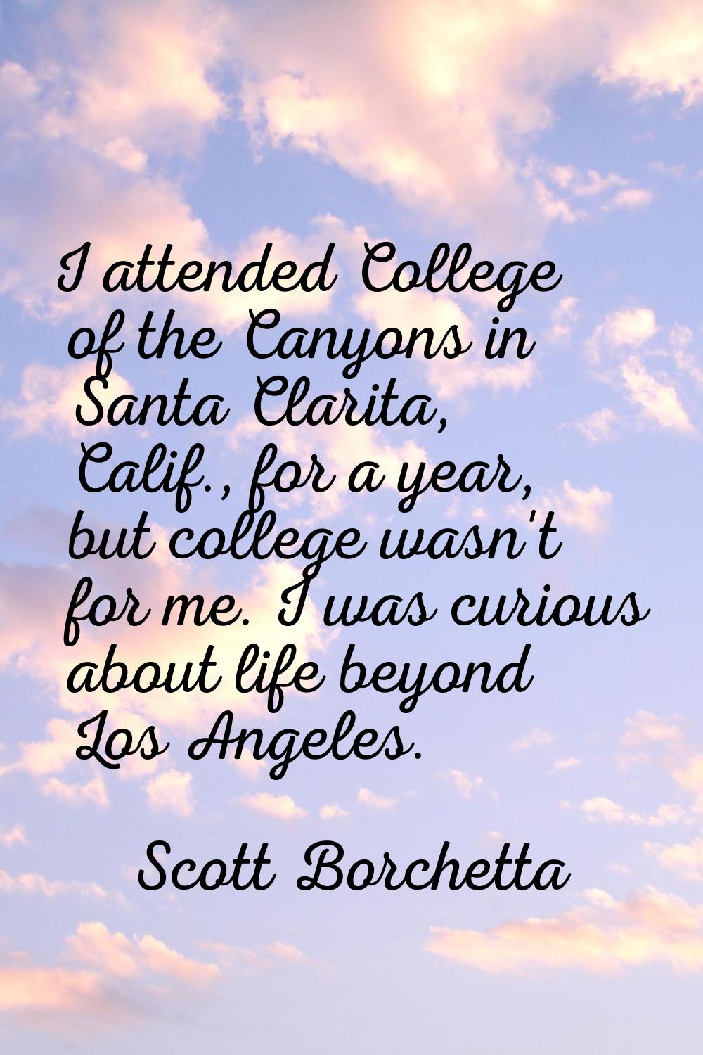 I attended College of the Canyons in Santa Clarita, Calif., for a year, but college wasn't for me. 