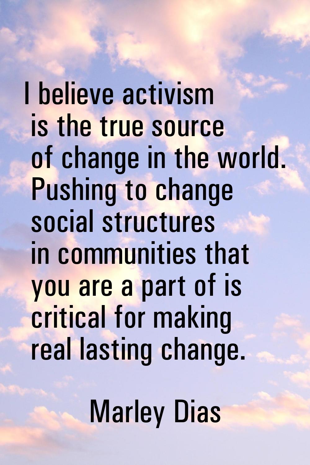 I believe activism is the true source of change in the world. Pushing to change social structures i