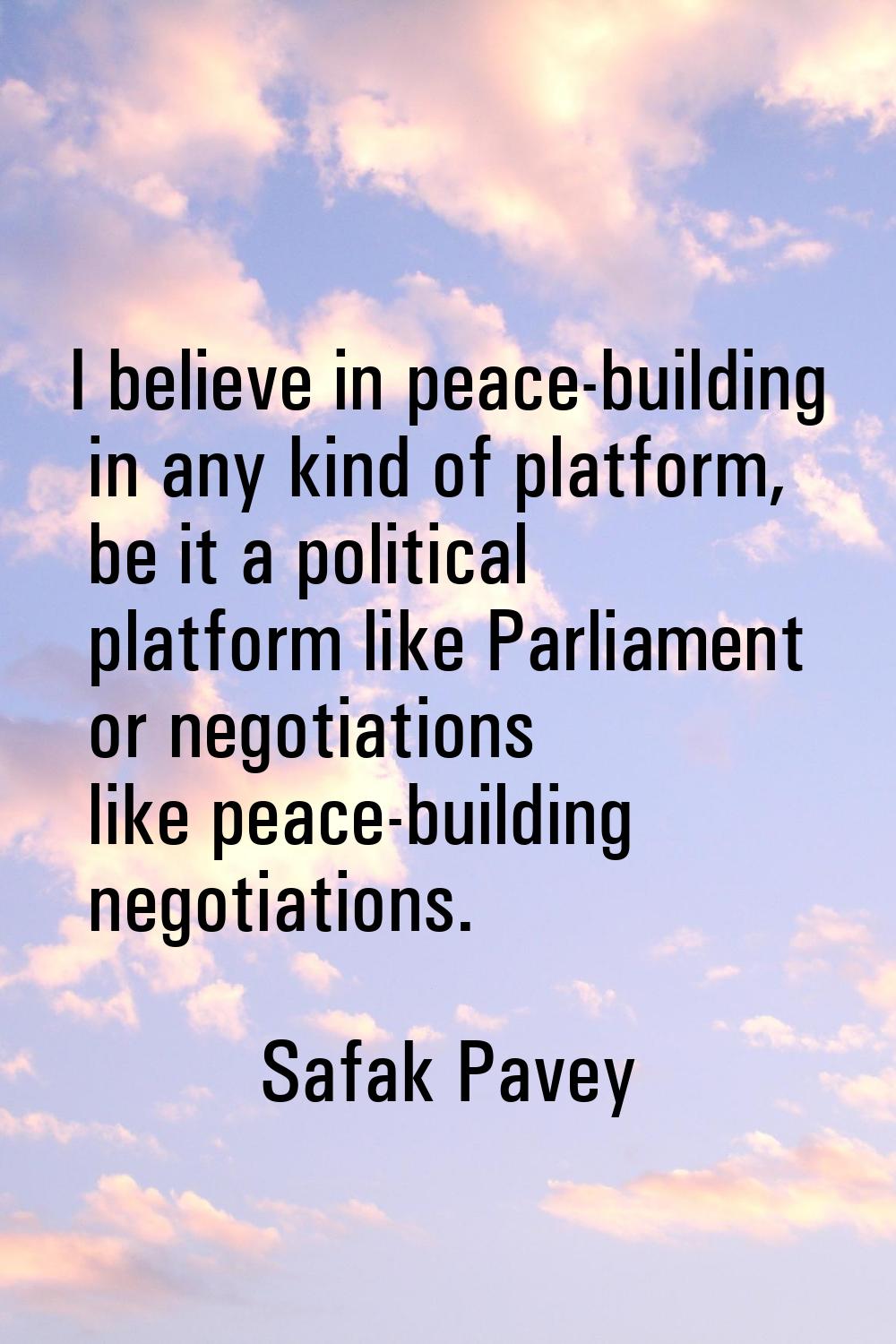 I believe in peace-building in any kind of platform, be it a political platform like Parliament or 