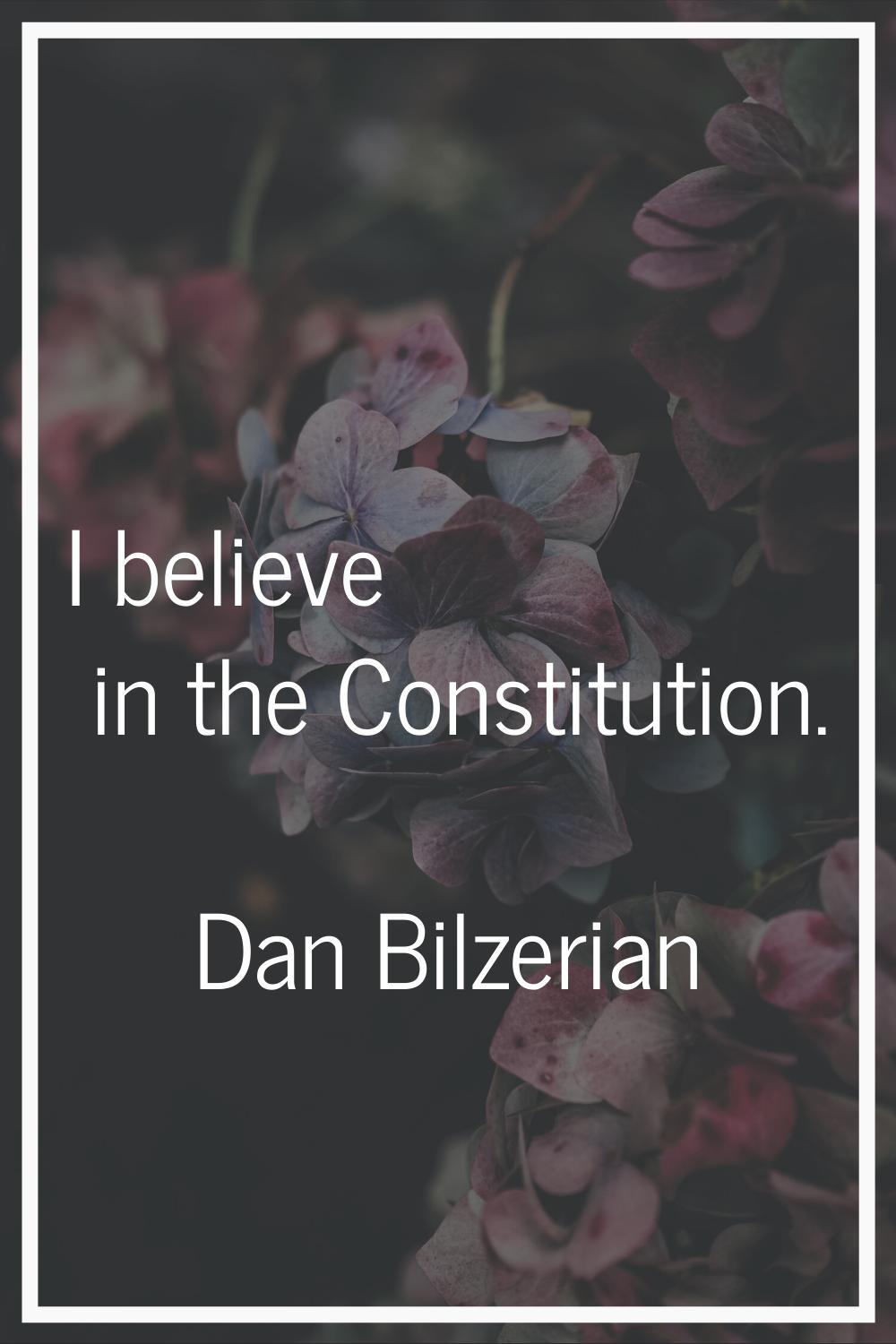 I believe in the Constitution.