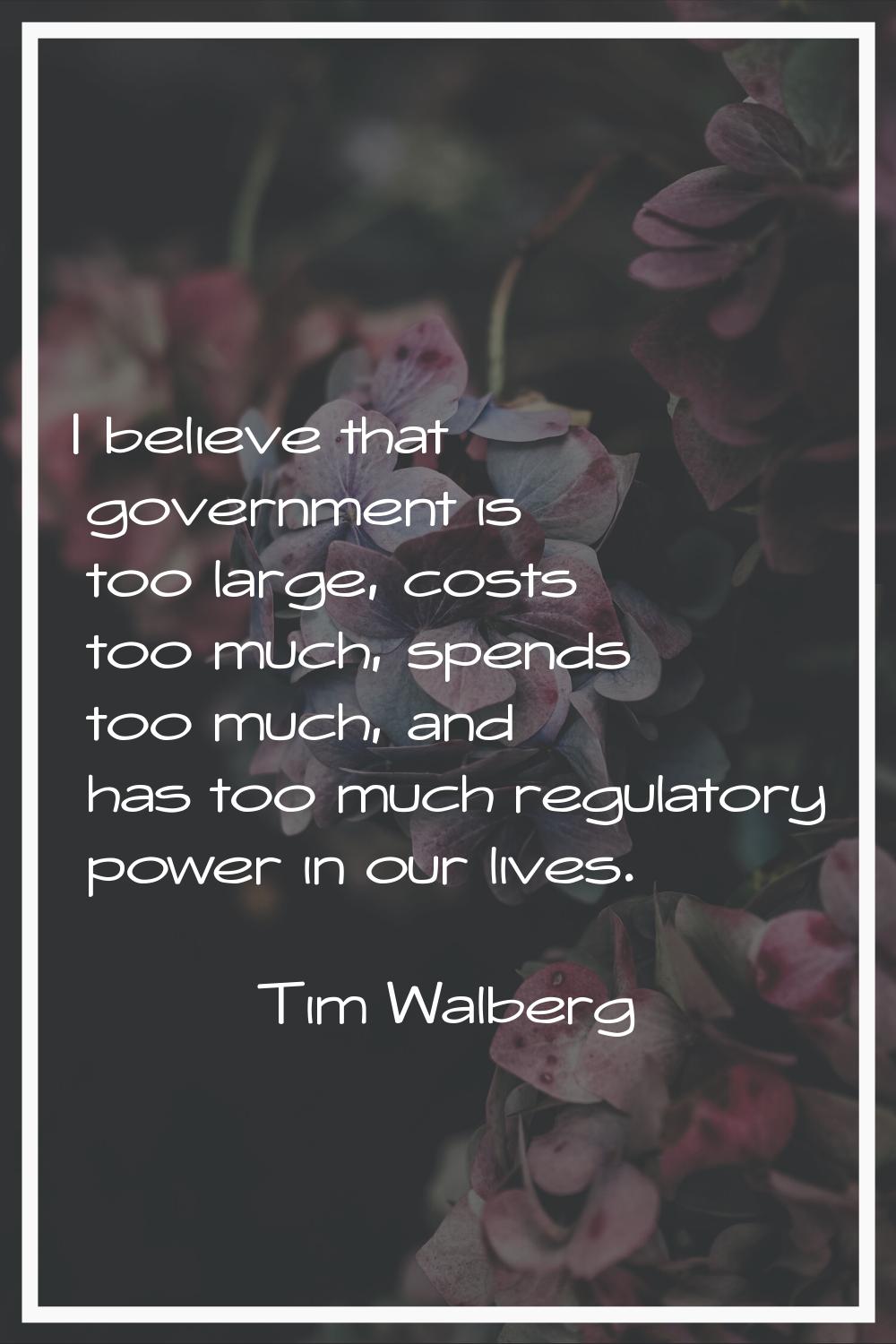 I believe that government is too large, costs too much, spends too much, and has too much regulator