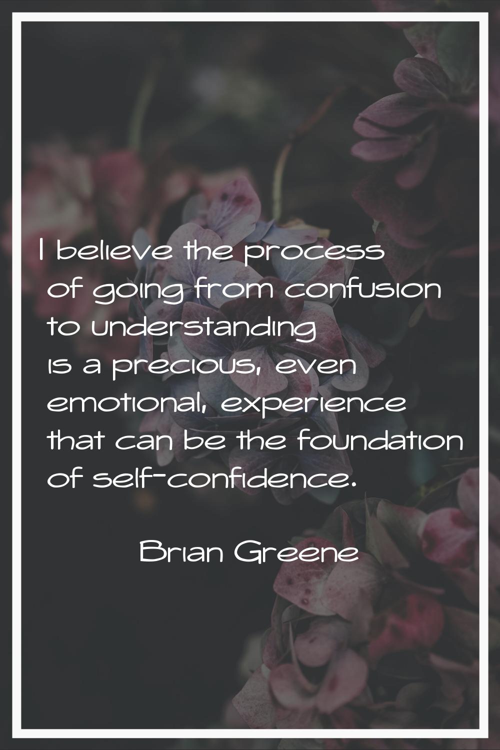I believe the process of going from confusion to understanding is a precious, even emotional, exper