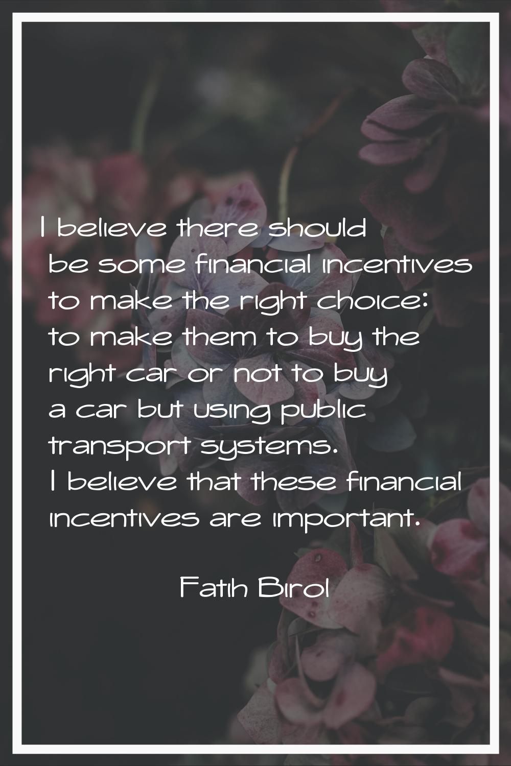I believe there should be some financial incentives to make the right choice: to make them to buy t